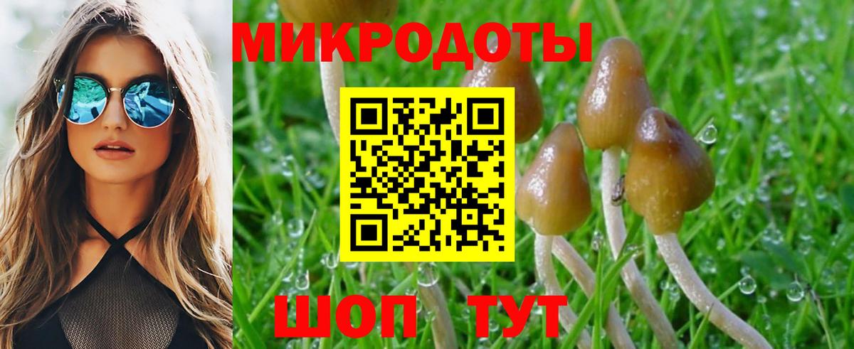 Галлюциногенные грибы прущие грибы Томск