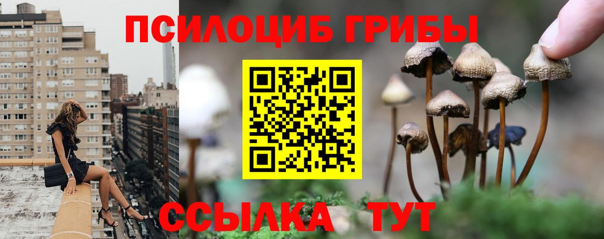 Томск  Галлюциногенные грибы GOLDEN TEACHER  Вход с VPN 